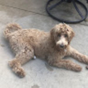 Meet your Posher, Macy